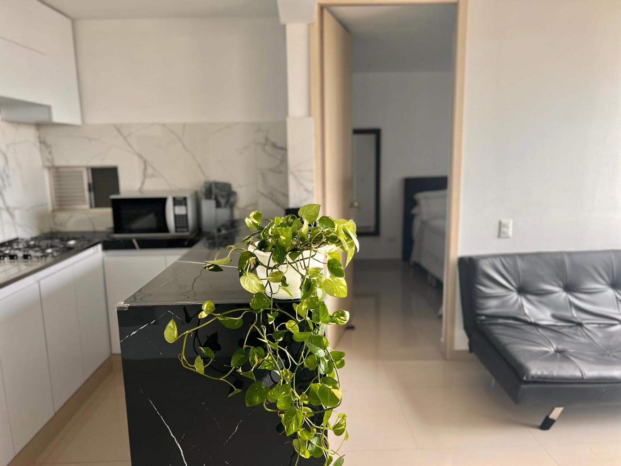 Apartamento With A Spectacular View